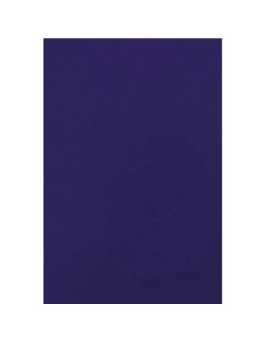 Fellowes Lot de 50 couvertures A4 en similicuir - 750 g - Bleu