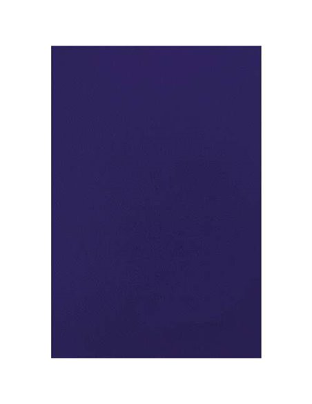 Fellowes Lot de 50 couvertures A4 en similicuir - 750 g - Bleu