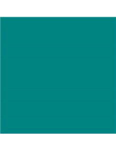 Paquet de 25 papiers cartonnés Canson Guarro Iris, 185 g - 50 x 65 cm - Vert menthe