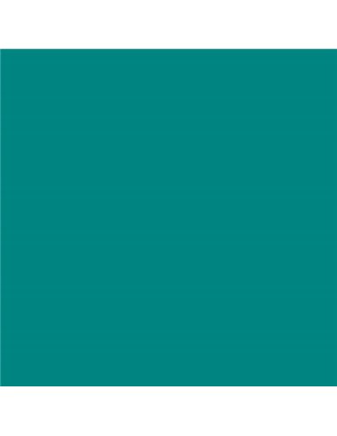 Paquet de 25 papiers cartonnés Canson Guarro Iris, 185 g - 50 x 65 cm - Vert menthe