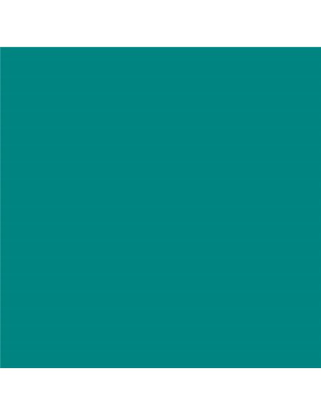 Paquet de 25 papiers cartonnés Canson Guarro Iris, 185 g - 50 x 65 cm - Vert menthe