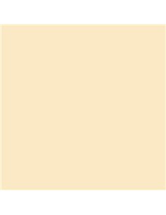 Lot de 25 papiers cartonnés Canson Guarro Iris, 185 g - 50 x 65 cm - Couleur coquille d'œuf