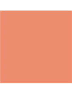 Canson Guarro Lot de 25 cartes Iris 185 g - 50 x 65 cm - Couleur corail