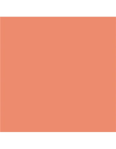 Canson Guarro Lot de 25 cartes Iris 185 g - 50 x 65 cm - Couleur corail