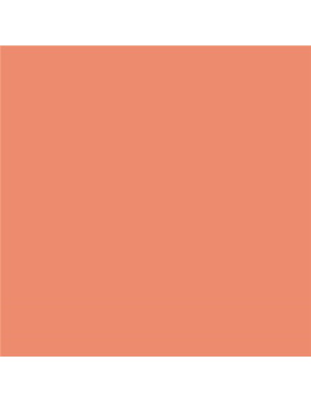 Canson Guarro Lot de 25 cartes Iris 185 g - 50 x 65 cm - Couleur corail