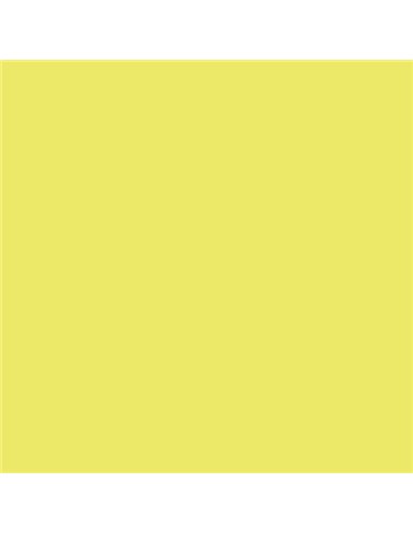 Paquet de 25 papiers cartonnés Canson Guarro Iris, 185 g - 50 x 65 cm - Couleur Kiwi