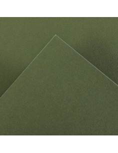 Paquet de 25 papiers cartonnés Canson Guarro Iris, 185 g - 50 x 65 cm - Vert Safari