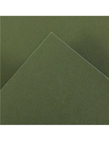 Paquet de 25 papiers cartonnés Canson Guarro Iris, 185 g - 50 x 65 cm - Vert Safari