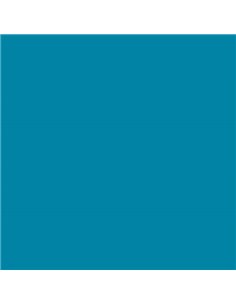 Lot de 25 papiers cartonnés Canson Guarro Iris 185 g - 50 x 65 cm - Bleu Caraïbes