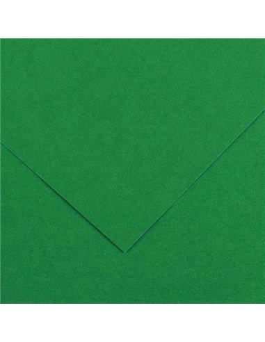 Paquet de 25 papiers cartonnés Canson Guarro Iris, 185 g - 50 x 65 cm - Vert sapin