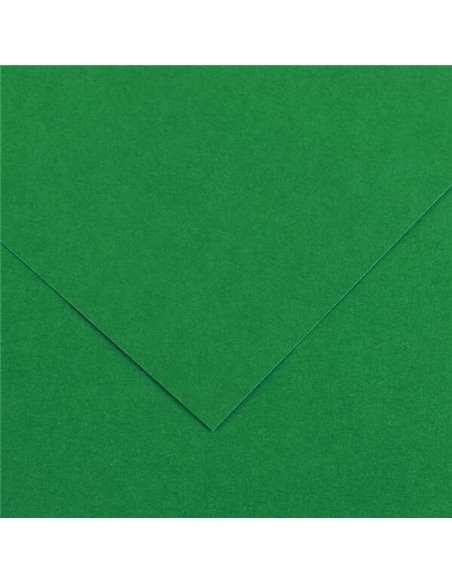 Paquet de 25 papiers cartonnés Canson Guarro Iris, 185 g - 50 x 65 cm - Vert sapin