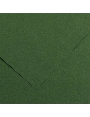 Lot de 25 papiers cartonnés Canson Guarro Iris 185 g - 50 x 65 cm - Couleur Vert Amazone