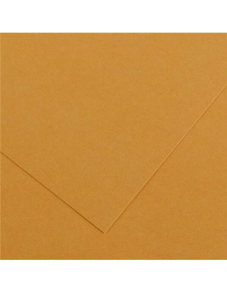 Lot de 25 papiers cartonnés Canson Guarro Iris, 185 g - 50 x 65 cm - Couleur cuir