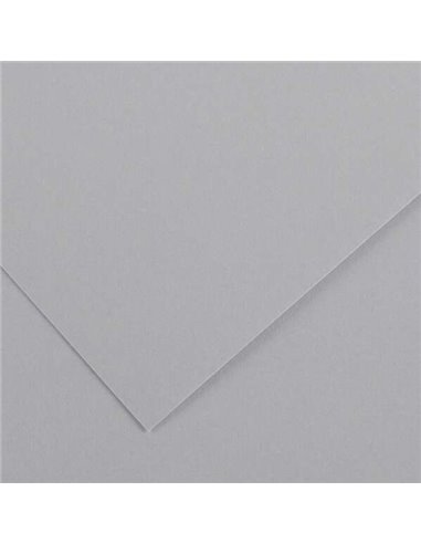 Paquet de 25 papiers cartonnés Canson Guarro Iris, 185 g - 50 x 65 cm - Gris perle