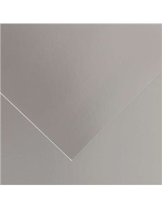 Lot de 25 papiers cartonnés Canson Guarro Iris, 185 g - 50 x 65 cm - Argent