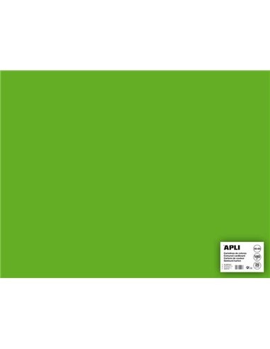 Carton vert gazon Apli 50 x 65 cm 170 g 25 feuilles