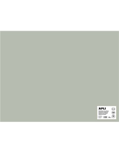 Papier cartonné gris Apli 50 x 65 cm 170 g 25 feuilles