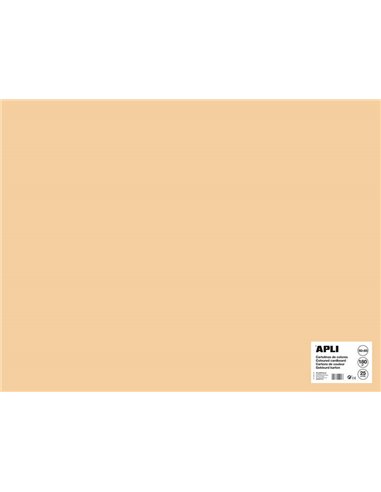 Carton Apli Saumon 50 x 65 mm 170 g 25 feuilles