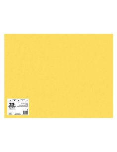 Lot de 25 cartons Dohe 180 g/m² - Format 50 x 65 cm - pH neutre - Sans chlore élémentaire - Colorants biodégradables - Couleur o