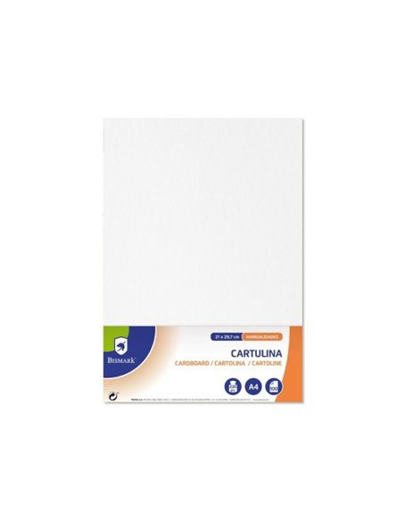 Paquet de 100 feuilles de papier cartonné Bismark 220 g/m² - Format A4 - Blanc
