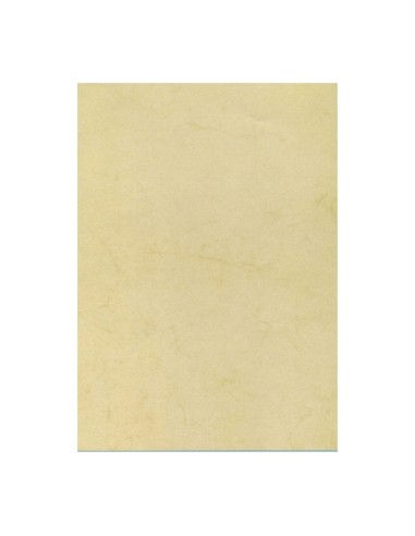 Pack de 10 feuilles de papier texturé Havane A4 - 200 g - Idéal pour invitations et communications - Compatible avec imprimantes